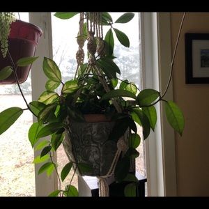 Meet your Posher, Anne-marie